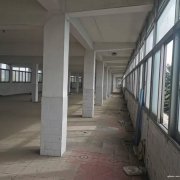 獨門獨院，可分割，有辦公樓，如皋搬經(jīng)鎮(zhèn)常青中學河南側
